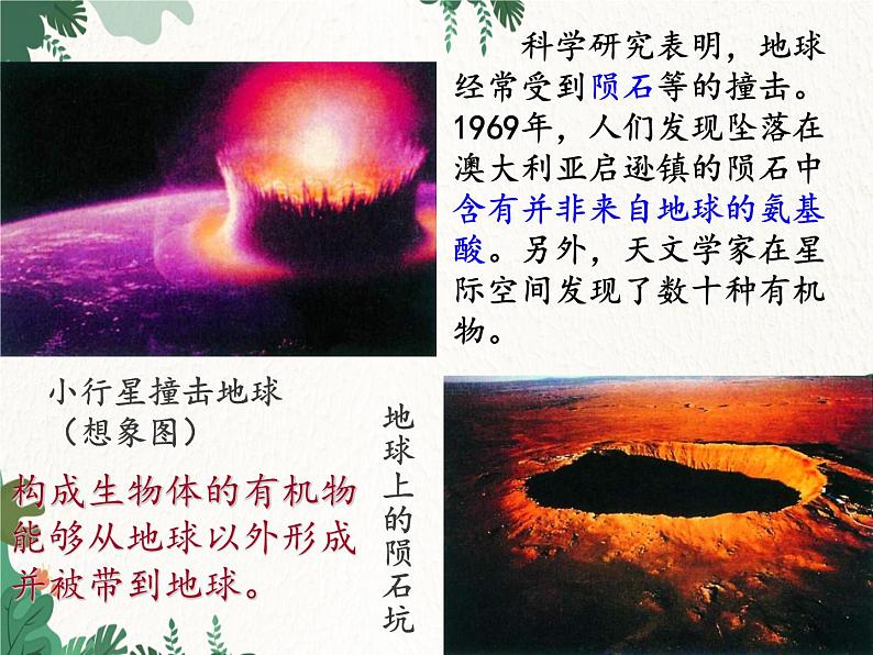 鲁科版(五四制)生物八年级下册 第八单元第三章生命的进化复习课件第7页