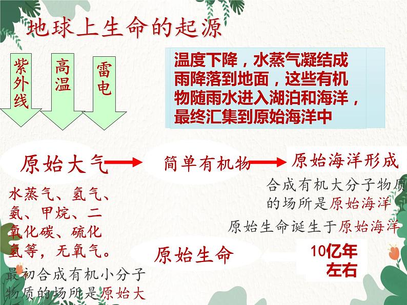 鲁科版(五四制)生物八年级下册 第八单元第三章生命的进化复习课件第8页
