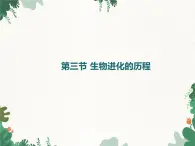 鲁科版（五四制）生物八年级下册 第八单元第三章第三节生物进化的历程课件