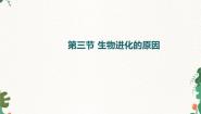 初中第三节 生物进化的原因备课ppt课件