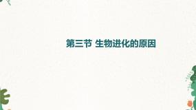 初中第三节 生物进化的原因备课ppt课件