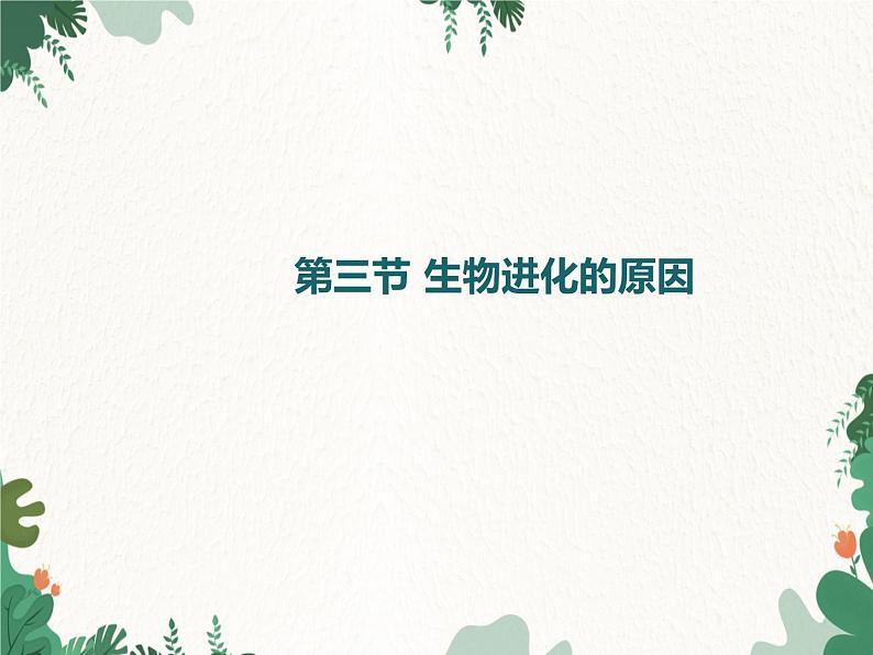 鲁科版(五四制)生物八年级下册 第八单元第三章第三节生物进化的原因课件01