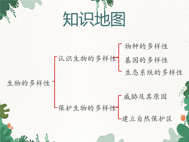 鲁科版(五四制)生物八年级下册 第九单元第二章生物的多样性复习课件02