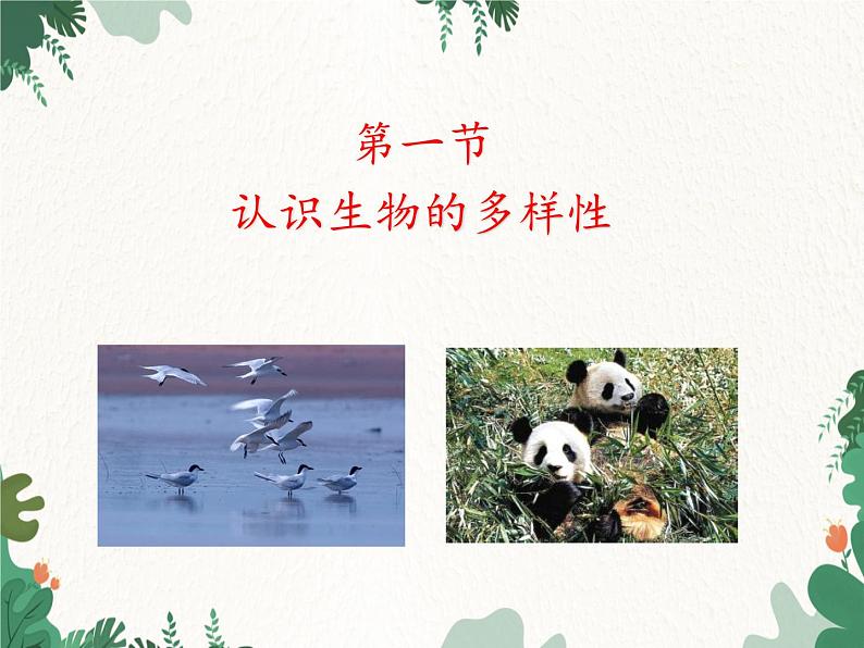 鲁科版(五四制)生物八年级下册 第九单元第二章生物的多样性复习课件03