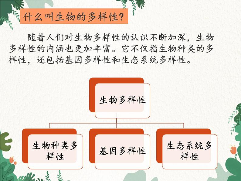 鲁科版(五四制)生物八年级下册 第九单元第二章生物的多样性复习课件04