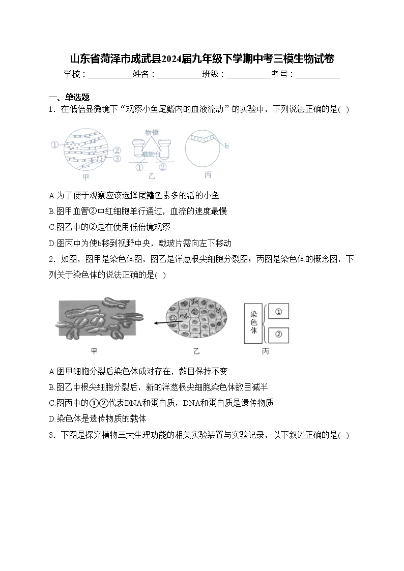 山东省菏泽市成武县2024届九年级下学期中考三模生物试卷(含答案)