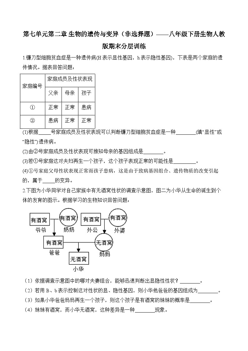 7.2 生物的遗传与变异 ——2023-2024学年八年级下册生物人教版期末分层训练(含解析)01