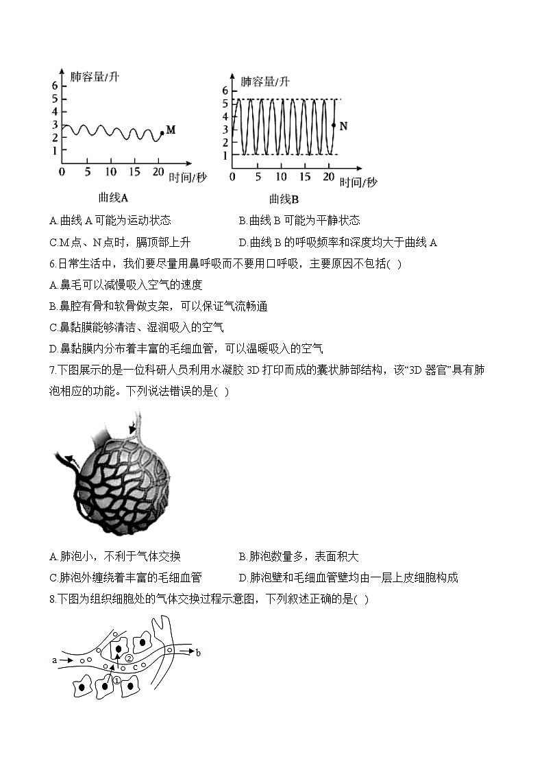 第四单元第三章 人体的呼吸(选择题)——七年级下册生物人教版期末分层训练第2页