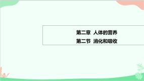 初中生物第二节 消化和吸收图文课件ppt