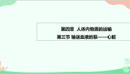 初中生物人教版 (新课标)七年级下册第四单元 生物圈中的人第四章 人体内物质的运输第三节 输送血液的泵──心脏评课ppt课件
