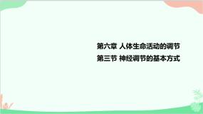 初中生物人教版 (新课标)七年级下册第三节 神经调节的基本方式教课内容ppt课件