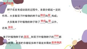 冀少版八年级上册第二节  种子萌发的条件课文内容课件ppt