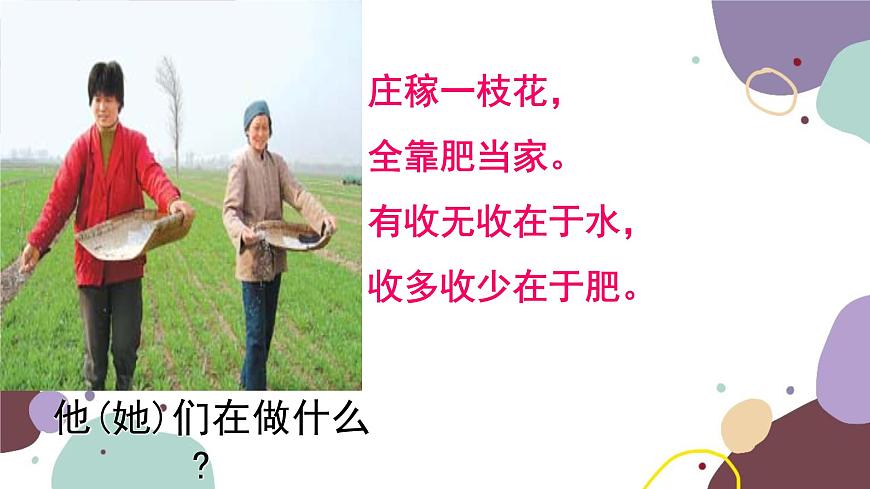 冀少版生物八年級上冊 3.2.3 無機(jī)鹽與植物的生長課件第3頁