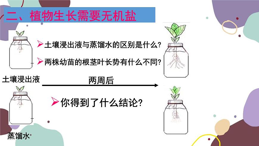 冀少版生物八年級上冊 3.2.3 無機(jī)鹽與植物的生長課件第7頁