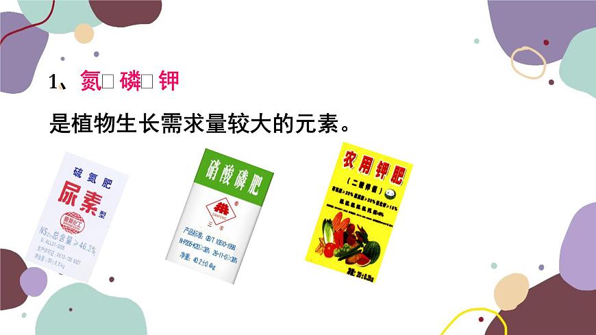 冀少版生物八年級上冊 3.2.3 無機(jī)鹽與植物的生長課件第8頁
