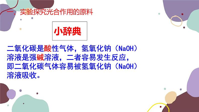 冀少版生物八年级上册 3.3.2 光合作用的原料课件第5页