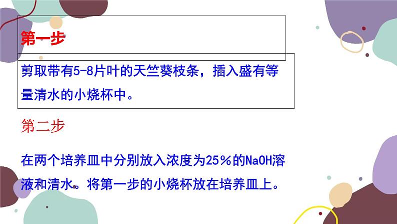 冀少版生物八年级上册 3.3.2 光合作用的原料课件第7页