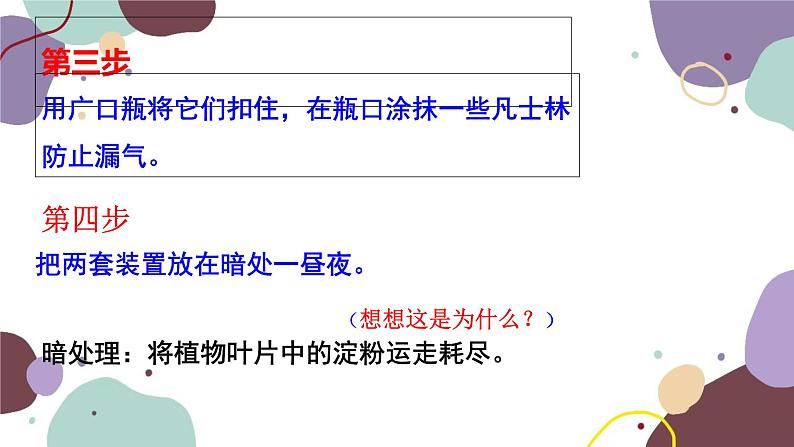 冀少版生物八年级上册 3.3.2 光合作用的原料课件第8页