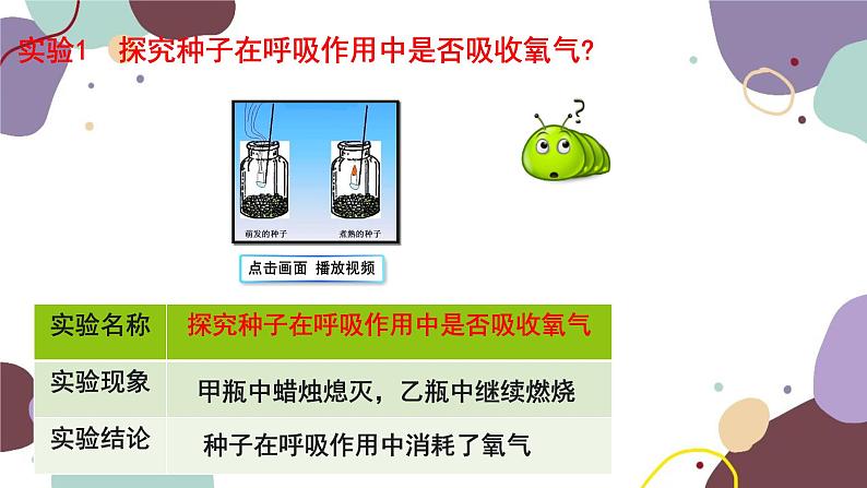 冀少版生物八年级上册 3.4.1 呼吸作用课件第6页
