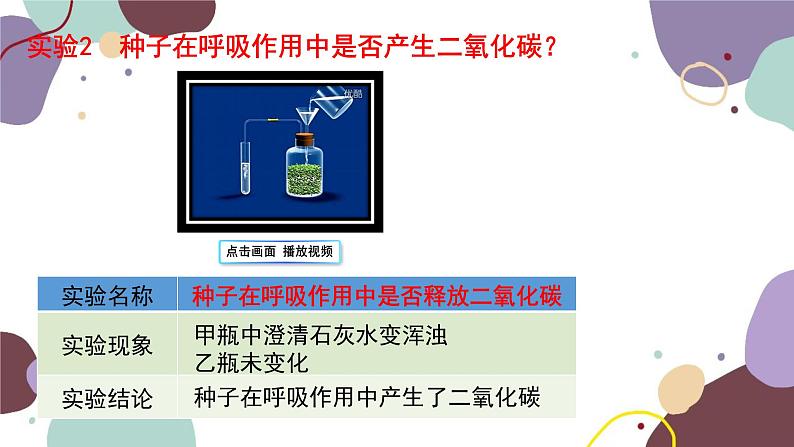 冀少版生物八年级上册 3.4.1 呼吸作用课件第7页