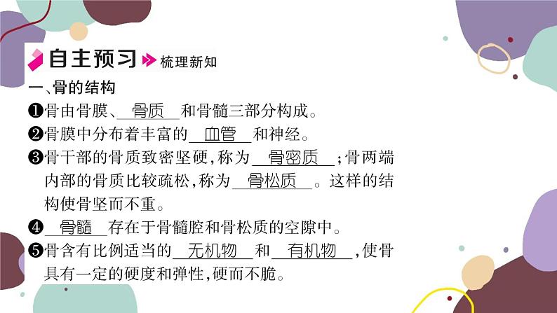 冀少版生物八年级上册 4.1.1 运动的基础课件02