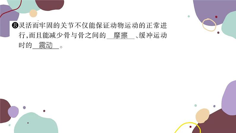 冀少版生物八年级上册 4.1.1 运动的基础课件04
