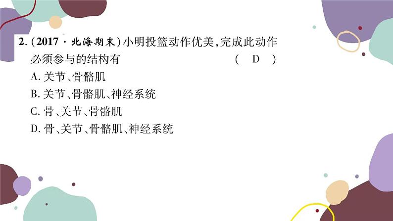 冀少版生物八年级上册 4.1.1 运动的基础课件08