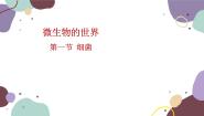 冀少版八年级上册第一节 细菌示范课课件ppt