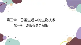 冀少版生物八年级上册 5.3.1 发酵食品的制作课件