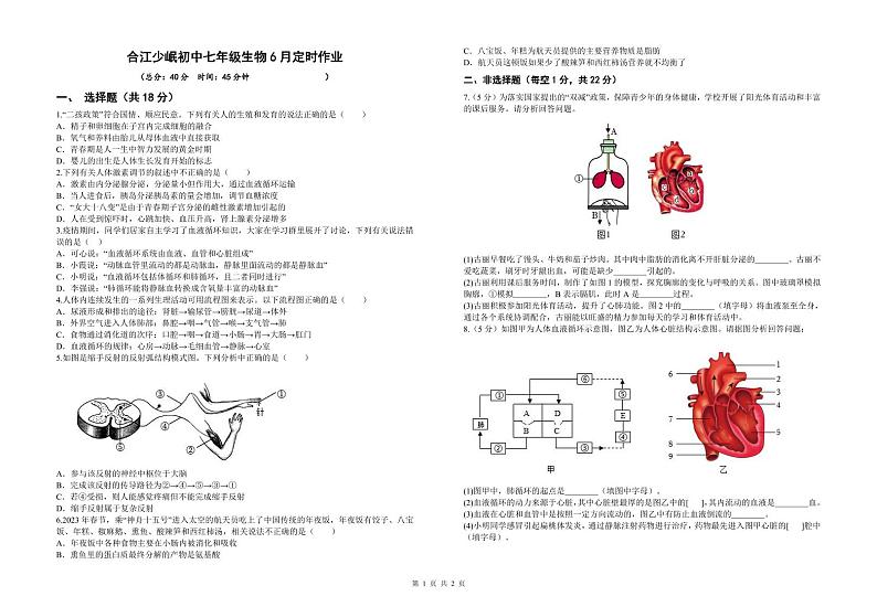 四川省泸州市合江县少岷初中2023-2024学年七年级下学期6月月考生物试题01