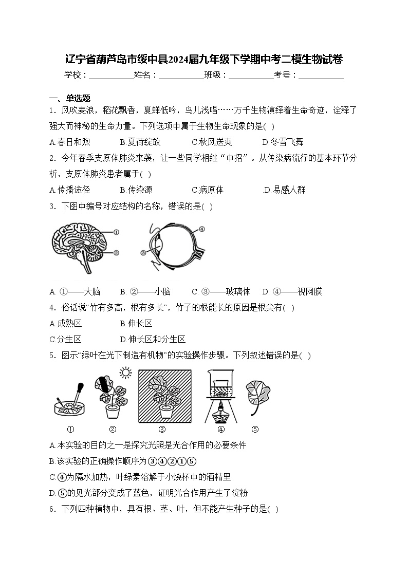 辽宁省葫芦岛市绥中县2024届九年级下学期中考二模生物试卷(含答案)