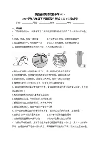 陕西省咸阳市实验中学2023-2024学年八年级下学期阶段性测试(三)生物试卷(含答案)