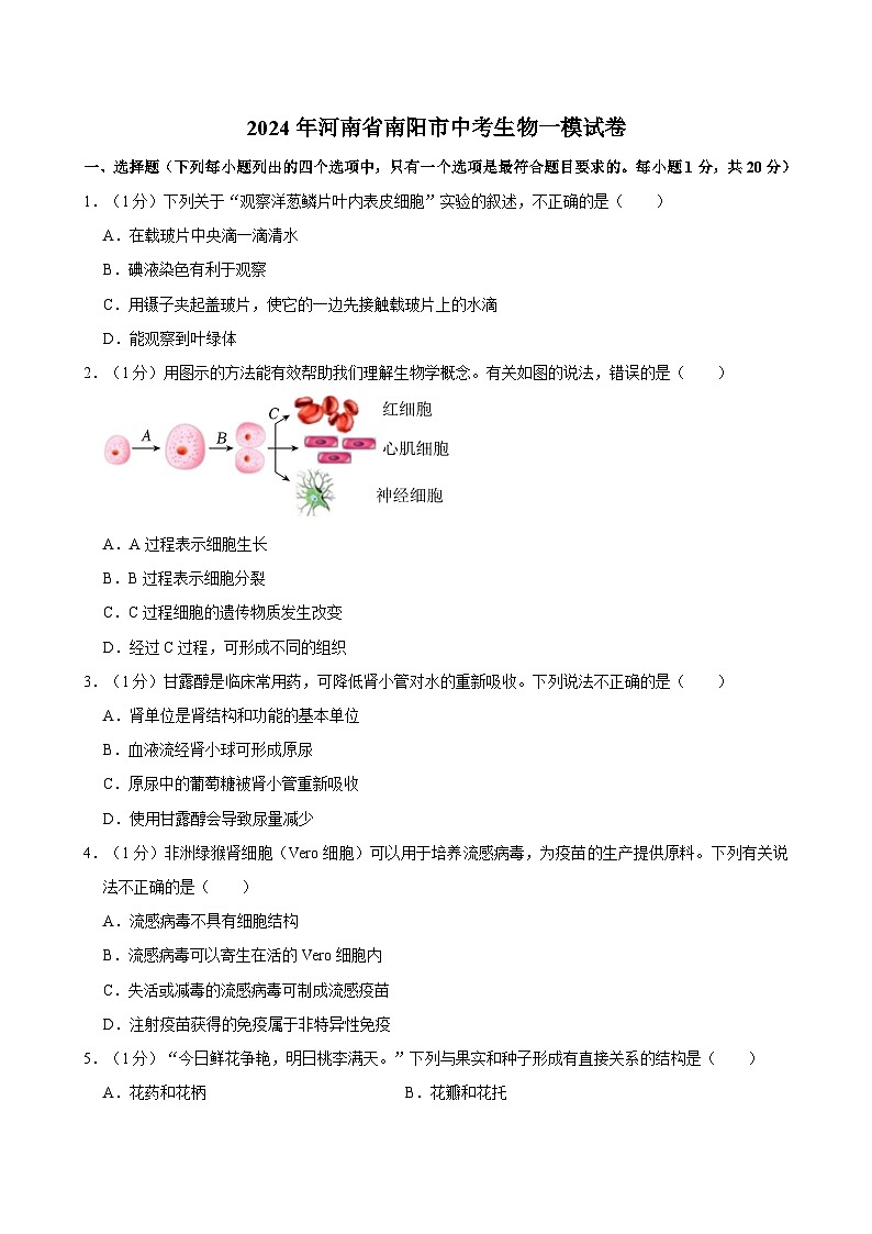 2024年河南省南阳市中考一模生物试卷第1页