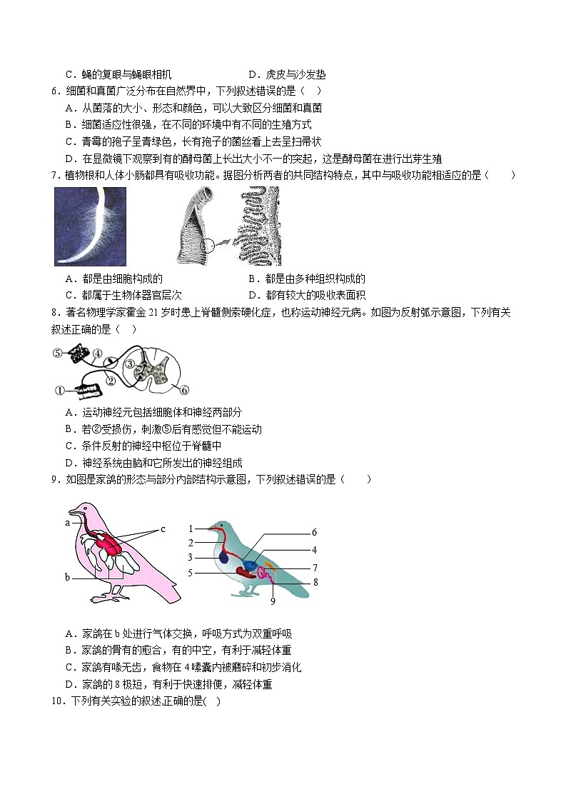 卷03-【临考满分】2024年中考生物临考满分卷(福建卷)(原卷版+解析版)02