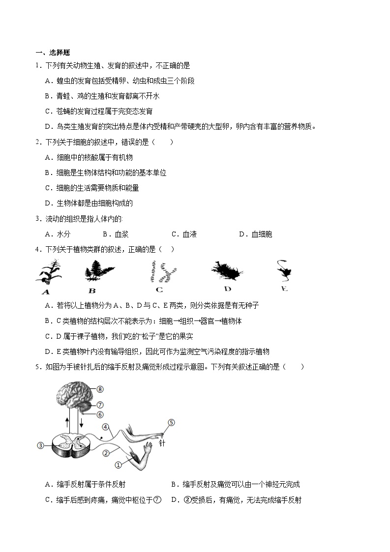 2024年山东青岛初中生物会考模拟试卷（原卷版+解析版）