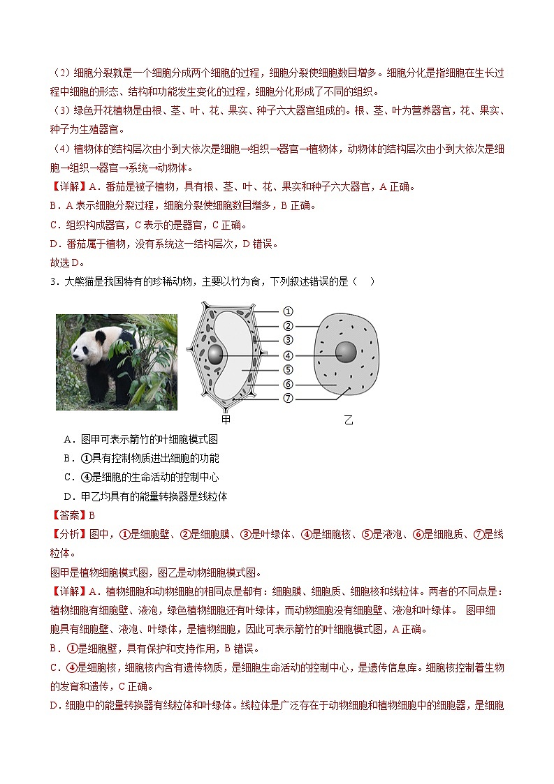 备战2024年会考生物专项复习(全国通用)-专练06 重点图形巩固20题(解析版)第2页