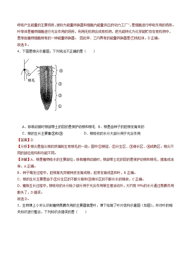 备战2024年会考生物专项复习(全国通用)-专练06 重点图形巩固20题(解析版)第3页