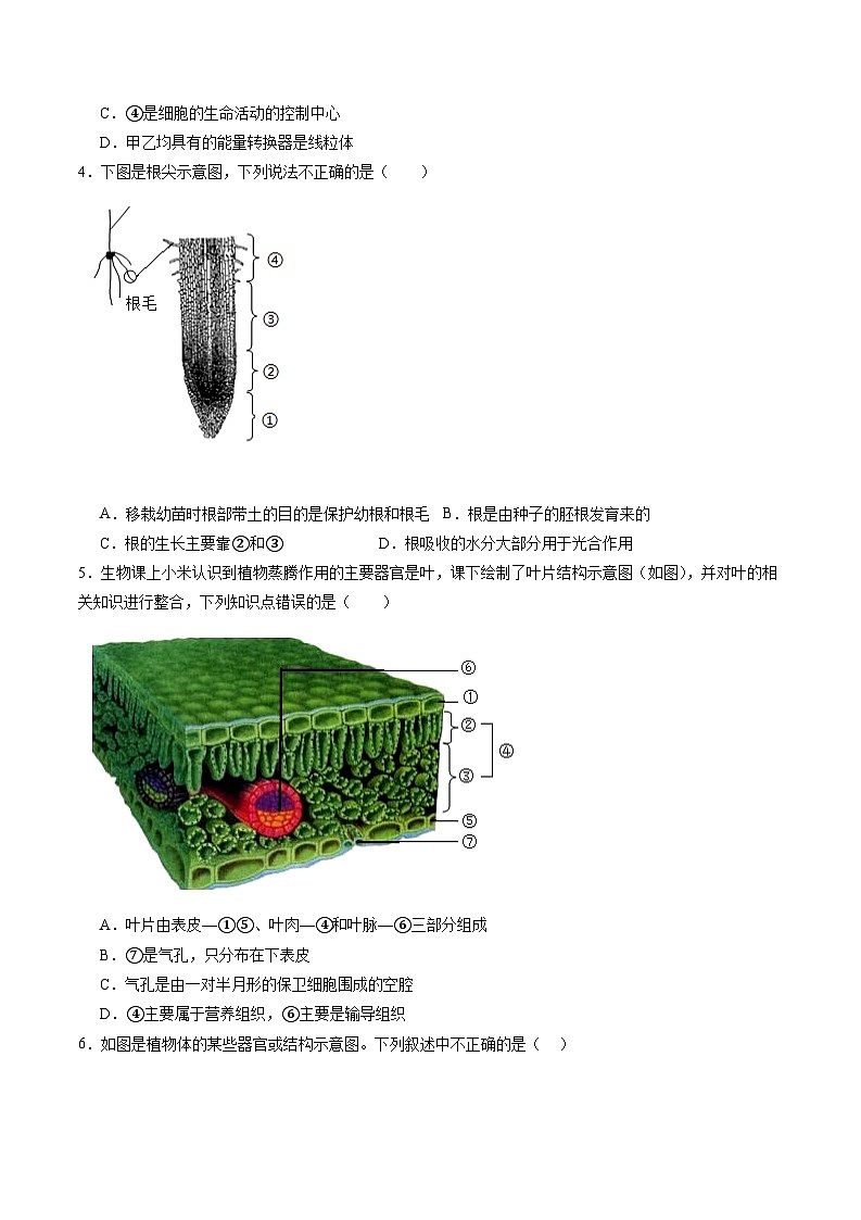 备战2024年会考生物专项复习(全国通用)-专练06 重点图形巩固20题(原卷版)第2页