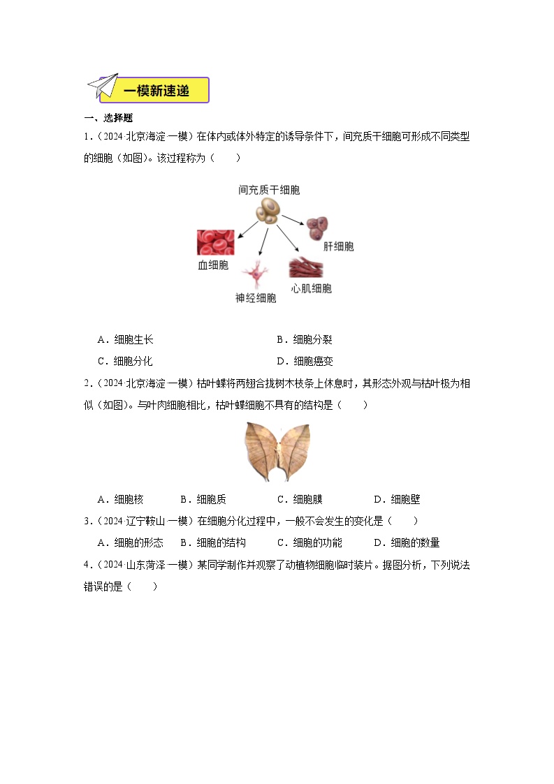 备战2024年会考生物专项复习（全国通用）-专题02 生物体的结构层次（原卷版+解析版）