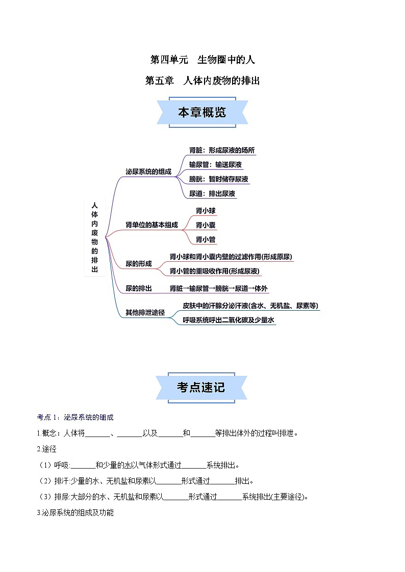 第五章 人体内废物的排出 【速记清单】(原卷版)第1页