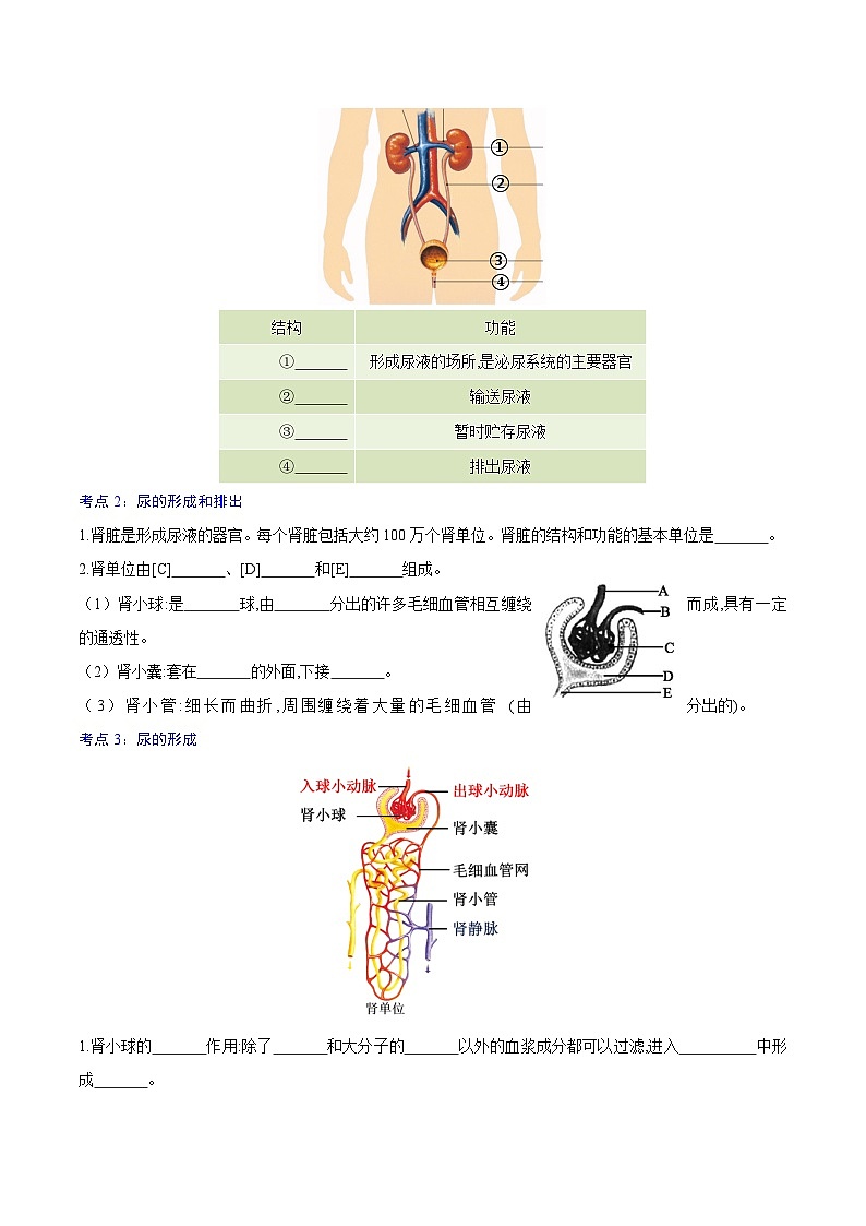 第五章 人体内废物的排出 【速记清单】(原卷版)第2页