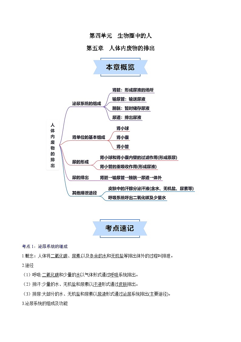 第五章 人体内废物的排出 【速记清单】(解析版)第1页