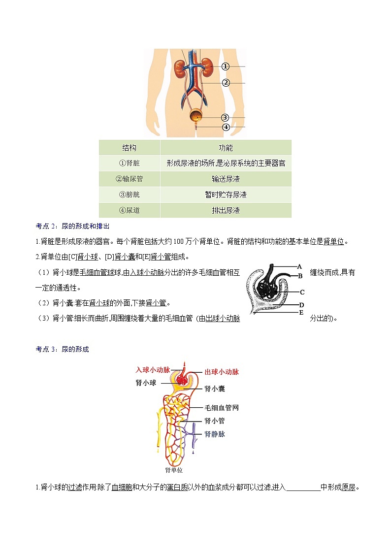 第五章 人体内废物的排出 【速记清单】(解析版)第2页