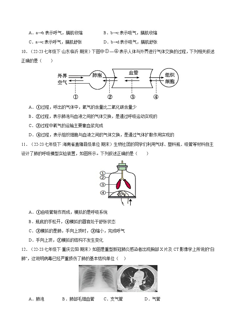 专题03 人体的呼吸(原卷版)第3页