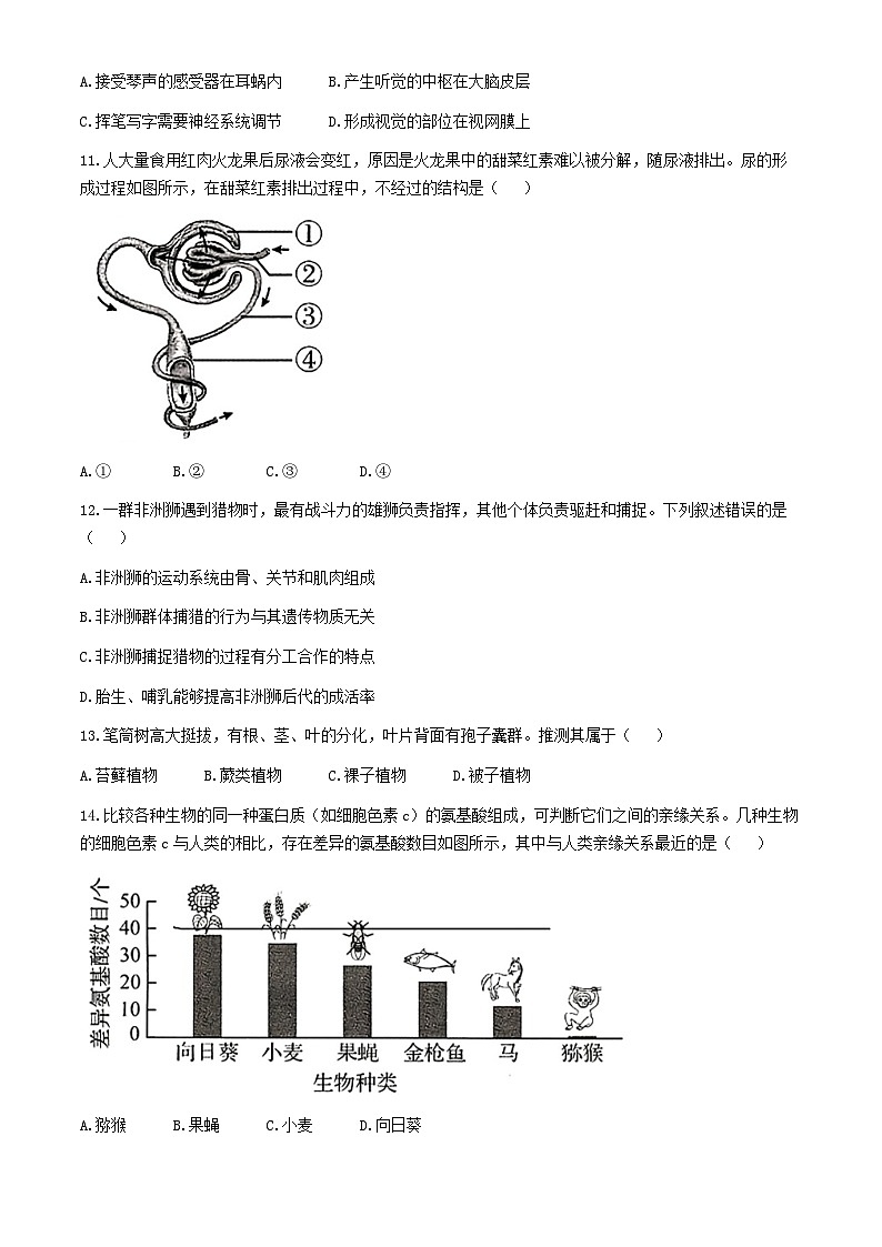 2024年河南省中考生物试题(含答案)第3页