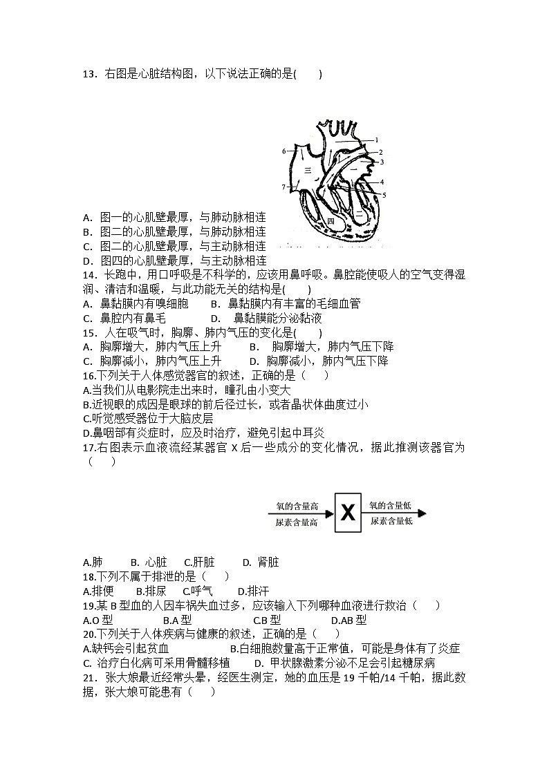 2023-2024學(xué)年人教版生物學(xué)七年級下冊期末復(fù)習(xí)練習(xí)題(含答案)第2頁