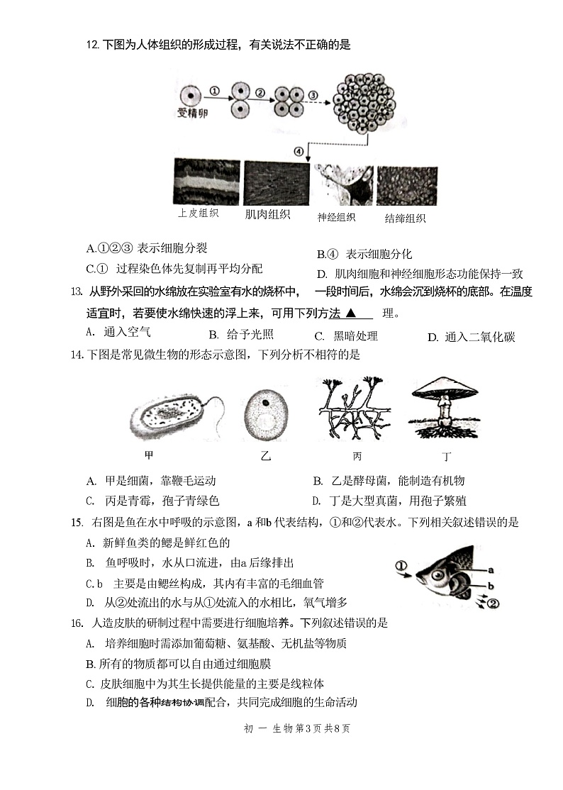 江苏省苏州市吴江区2023-2024学年七年级下学期6月期末生物试题第3页