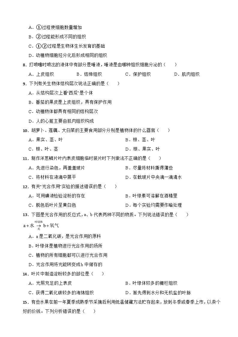广东省梅州市2024年七年级下学期生物期末试卷(附答案)第2页