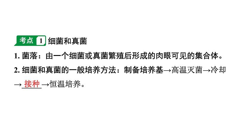 2024广东中考生物二轮中考考点研究 第18讲 细菌、真菌和病毒(课件)第4页