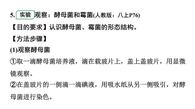 2024广东中考生物二轮中考考点研究 第18讲 细菌、真菌和病毒(课件)第7页